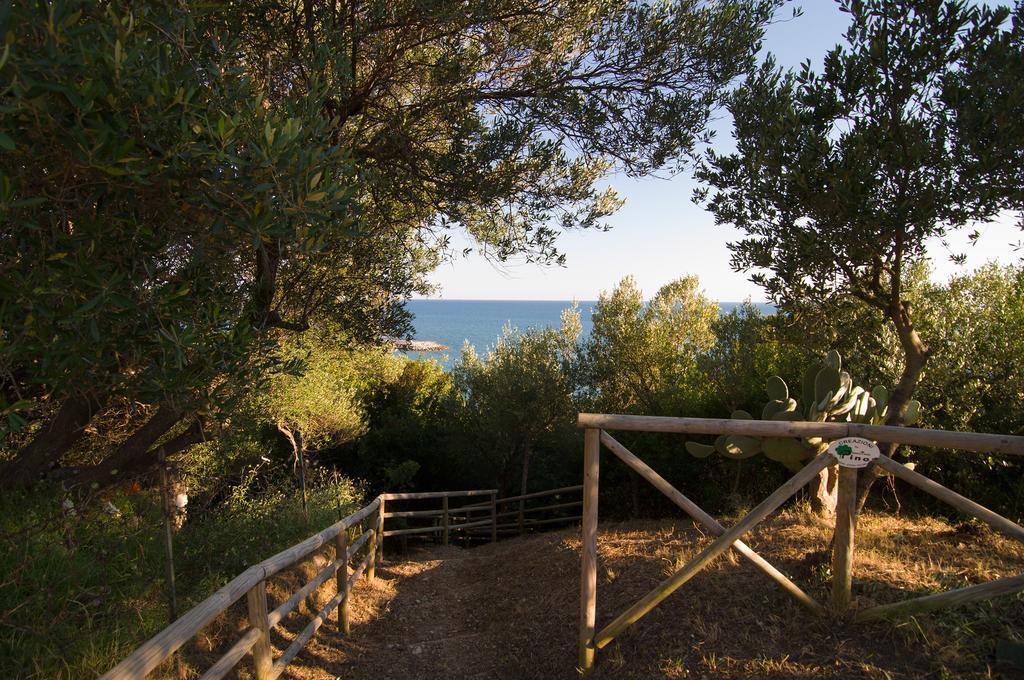 Dominella 3 Apartment Casal Velino Ruang foto